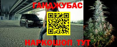 стафф Гусев