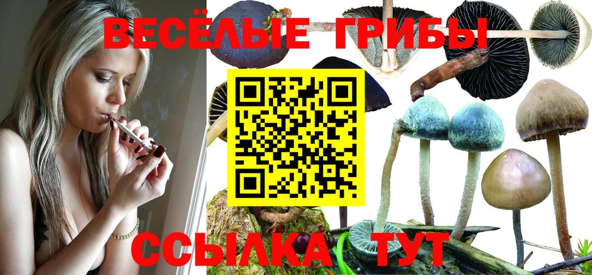 Псилоцибиновые грибы MAGIC MUSHROOMS  Вход с VPN  Магадан 